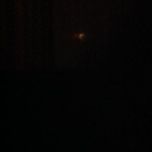 Meet your Posher, Tami